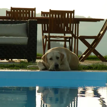 Boutique In With Pool *